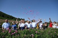 Büyükelçiler Isparta'da Gülün Yolculuguna Taniklik Etti