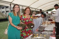 Findigin Yapragindan Sarma Yaptilar