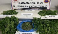 Karaman'da Kenevir Operasyonu Açiklamasi 1 Tutuklama