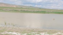 Kuraklik Nedeniyle Kuruyan Göl Yeniden Doldu