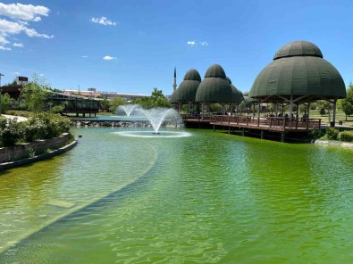 Süs Havuzuna Düsen Çocuk Hayatini Kaybetti