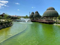 Süs Havuzuna Düsen Çocuk Hayatini Kaybetti