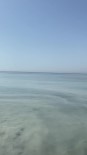 Yalova Esenköy'de Dereye Birakilan Beton Santrali Atiklari Denize Dökülüyor Haberi