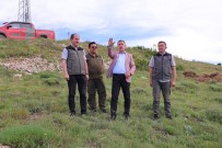 Bayburt'ta Bin Dekarlik Alanda 300 Bin Fide Toprakla Bulusturulacak