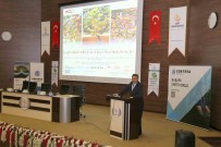 Siirt Üniversitesi'nde '2. Uluslararasi Siirt Fistik Çalistayi' Düzenlendi Haberi