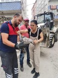 Yarali Martinin Imdadina Ekipler Yetisti