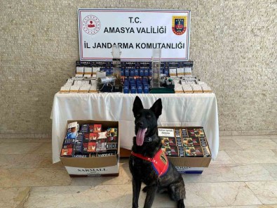 'Çilek'ten Kaçak Makarona Geçit Yok