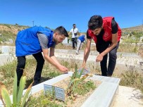Elazig'da Gönüllü Gençlerden Kimsesizler Mezarliginda Temizlik