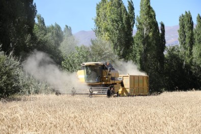 Hububatta Dane Kaybi Önlenecek
