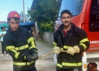 Itfaiye Ekiplerinin Yilan Mesaisi Haberi