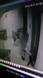 Kediye Apartmanda Sopayla Saldirdi