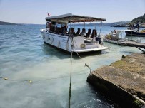 Sariyer'de 'Çocuk Parkinin Önünden Denize Kanalizasyon Akiyor' Tepkisi
