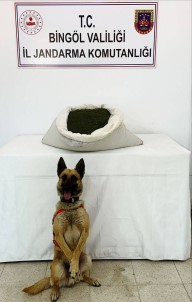 Bingöl'de 3 Günde 42 Kilo Uyusturucu Maddesi Ele Geçirildi