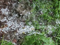 Ardahan'da Saganak Ve Dolu Hayati Olumsuz Etkiledi