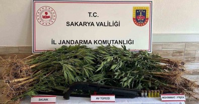 Jandarma Alti Ayda 55 Kilo Uyusturucu Ele Geçirdi Açiklamasi Bin 165 Süpheliye Islem Yapildi