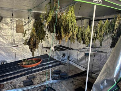 Yangin, Uyusturucu Serasini Ortaya Çikardi