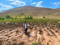 Dolunun Vurdugu Ekili Alanlarda Hasar Tespit Çalismalari Devam Ediyor