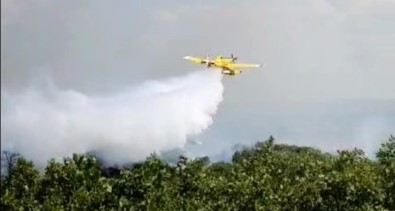 Edirne'de Çikan Orman Yangini Kontrol Altina Alindi