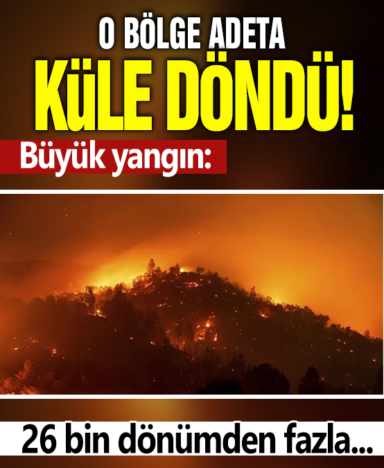 O bölge adeta küle döndü! Büyük yangın: 26 bin dönümden fazla…