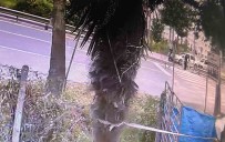 Sakarya'da Feci Kaza Açiklamasi Otomobil Yaya Geçidinde Anne Ve Iki Çocuguna Çarpti