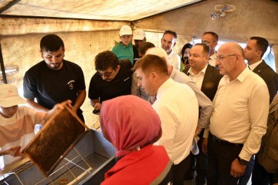 Vali Sariibrahim, Yaylada Düzenlenen Bal Hasadina Katildi