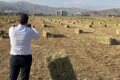 Yüksekova'da Yagislar Tarimda Verimliligi Artirdi