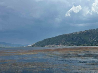 Bakanlik Harekete Geçti, Egirdir Göl'ü Temizlenecek