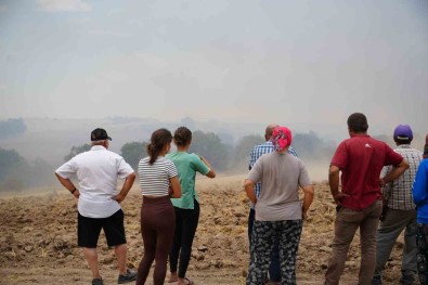 Edirne'deki Orman Yanginina Havadan Ve Karadan Müdahale Sürüyor