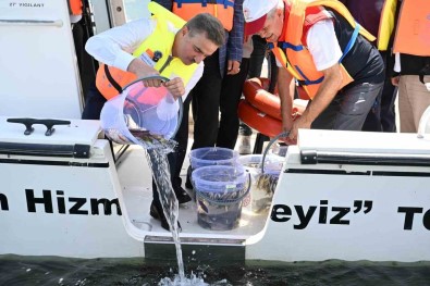 Egirdir Gölü'ne 1 Milyon 100 Bin Yavru Sazan Baligi Birakildi