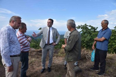 Giresun'da Ermeniler Tarafindan Kursuna Dizilen Köylüler Için Anit Yapilacak