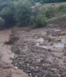 Sel Ve Firtinada Kaybolan Inekler Bulundu Haberi