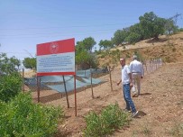 Siirt'te Salep Üretimi Yapilacak Haberi