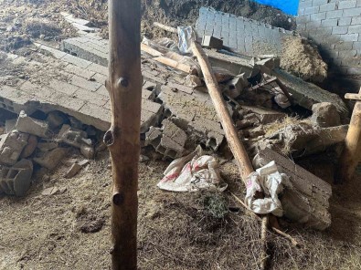 Tunceli'de Dolu Ve Saganak Ekili Alanlara Zarar Verdi