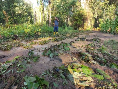 Yozgat'ta Kuvvetli Yagisin Getirdigi Hasar Gün Agarinca Ortaya Çikti