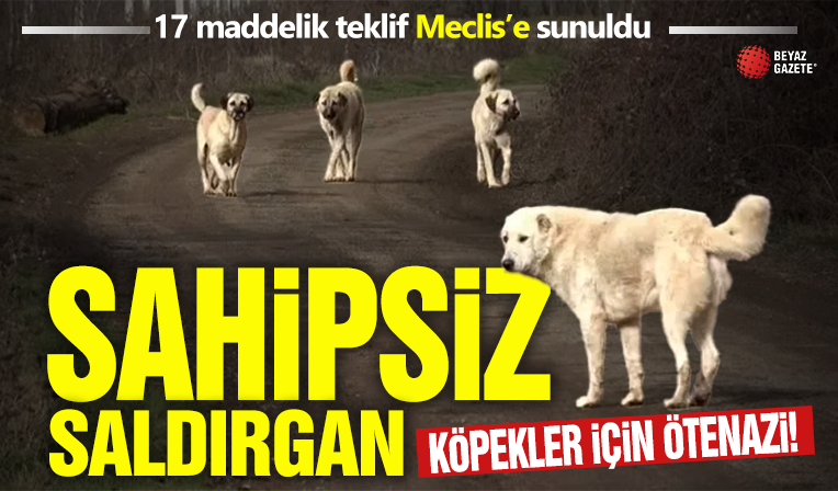 Başıboş köpek sorunu için 17 maddelik kanun teklifi! AK Parti'li Güler'den flaş açıklama