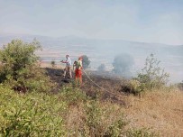 Bingöl'de Çikan Yangin Ormanlik Alana Siçramadan Söndürüldü Haberi