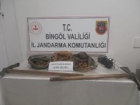 Bingöl'de Salep Sogani Toplayanlar Yakalandi, 1 Milyon 161 Bin Lira Ceza Kesildi Haberi