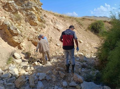 Biri Uçurumdan Atlayinca Digerleri Pesinden Kostu Açiklamasi 43 Koyun Telef Oldu