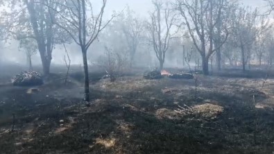 Isparta'da Meyve Bahçesinde Çikan Yanginda Agaçlar Ve Samanlar Kül Oldu