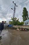 Kars'ta Elektrik Akimina Kapilan 2 Büyükbas Hayvan Telef Oldu Haberi