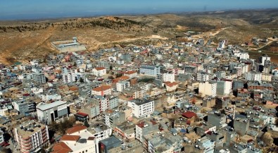 Mardin'de Yolun Karsisina Geçerken Aracin Çarptigi Yasli Kadin Hayatini Kaybetti