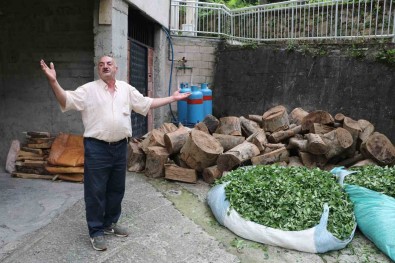 Rize'de Akrabalar Arasinda Odun Bilmecesi