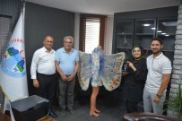 Saimbeyli Kelebegi Sanata Dönüstü