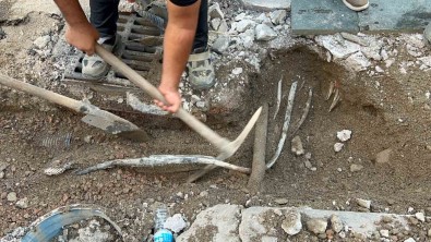 2 Kisinin Elektrik Akimina Kapilarak Öldügü Izmir'de Kablolar 50 Santim Asagi Aliniyor