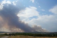 Bulgaristan'daki Yangin Edirne Sinirina Ilerliyor, Köy Halki Tedirgin Haberi