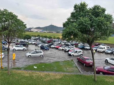 Göle Dönen Otoparkta Onlarca Araç Mahsur Kaldi
