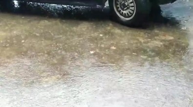 Rize'de Vandi Selalesi Tasti, Çay Bahçeleri Bos Kaldi