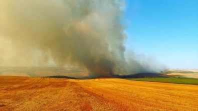 Tekirdag'da Bin 500 Dönümlük Alan Yandi Açiklamasi 1 Yarali