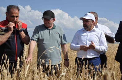 Kars'ta Yüzde 50 Hibeyle Dagitilan Tohumlar Tarlalara Ekildi