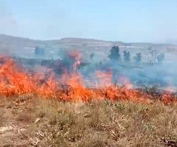 Tunceli'deki Arazi Yangini Söndürüldü
